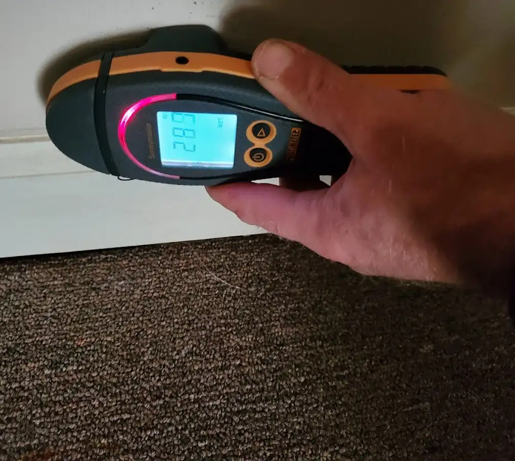 Moisture detection at baseboard during Sewage Cleanup & Sanitation in Forest